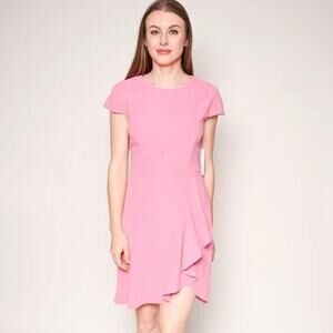 NWT AMANDA UPRICHARD Pink Whistler Ruffle Dress XS